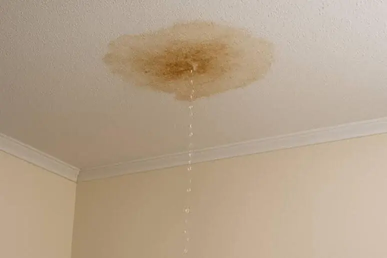 Ceiling moisture that requires source tracing in Los Angeles