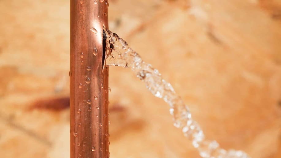 Interior plumbing leak repair and water damage mitigation in Reseda